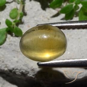 Apatita Ojo de Gato Amarillo claro natural de 2.38 ct, Ovalada, Translúcido