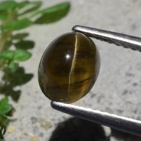 Apatita Ojo de Gato Marrón oscuro medio natural de 2.01 ct, Corte Óvalo, Translúcido