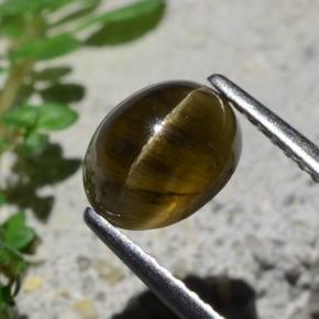 Apatita Ojo de Gato Marrón oscuro medio natural de 2.01 ct, Corte Óvalo, Translúcido