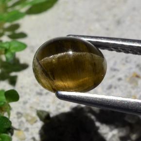 Apatita Ojo de Gato Marrón oscuro medio natural de 2.01 ct, Corte Óvalo, Translúcido