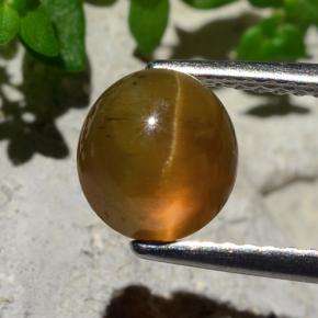 Apatita Ojo de Gato Naranja natural de 2.17 ct, Corte Redondo, Translúcido