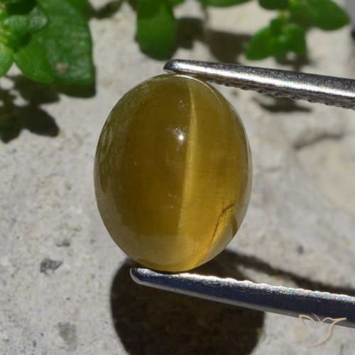 3.87ct Natural Amarillo terroso Apatita Ojo de Gato, Ovalada, Translúcido