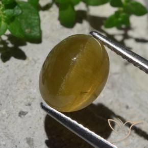 Apatita Ojo de Gato Amarillo terroso natural de 3.87 ct, Ovalada, Translúcido