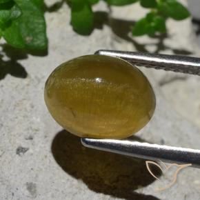 Apatita Ojo de Gato Amarillo terroso natural de 3.87 ct, Ovalada, Translúcido
