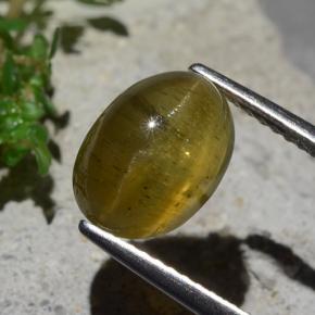 Apatita Ojo de Gato Amarillo amarronado natural de 4.28 ct, Corte Óvalo, Translúcido
