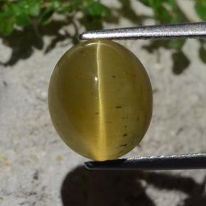 Apatita Ojo de Gato Verde dorado natural de 4.46 ct, Corte Óvalo, Translúcido