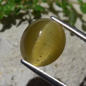 Apatita Ojo de Gato Verde dorado natural de 4.46 ct, Corte Óvalo, Translúcido