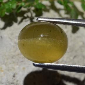 Apatita Ojo de Gato Verde dorado natural de 4.46 ct, Corte Óvalo, Translúcido