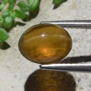 Cat's eye apatite verde natural de 2,93 ct, corte óvalo, translúcido