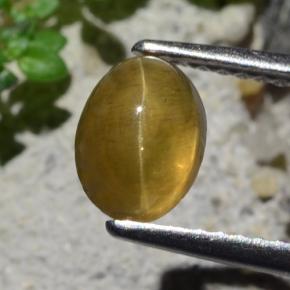 Apatita Ojo de Gato Verde dorado natural de 1.64 ct, Corte Óvalo, Translúcido