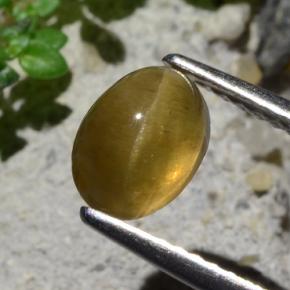 Apatita Ojo de Gato Verde dorado natural de 1.64 ct, Corte Óvalo, Translúcido