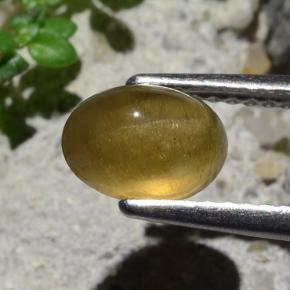 Apatita Ojo de Gato Verde dorado natural de 1.64 ct, Corte Óvalo, Translúcido