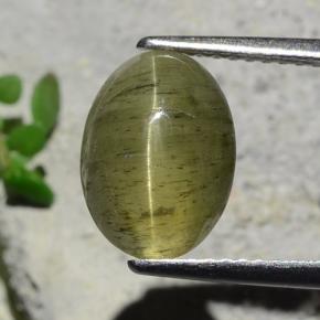 Apatita Ojo de Gato Verde oscuro natural de 3.73 ct, Corte Óvalo, Translúcido
