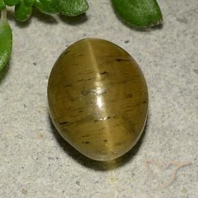 Apatita Ojo de Gato Marrón amarillento natural de 4.09 ct, Ovalada, Translúcido