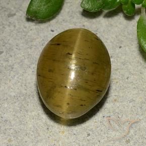 Apatita Ojo de Gato Marrón amarillento natural de 4.09 ct, Ovalada, Translúcido