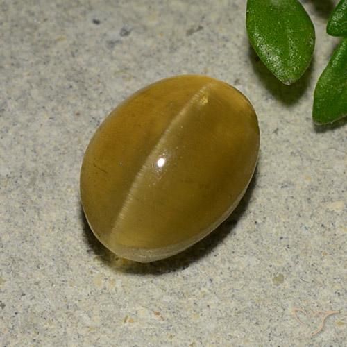 3.14ct Natural Marrón amarillento Apatita Ojo de Gato, Ovalada, Translúcido