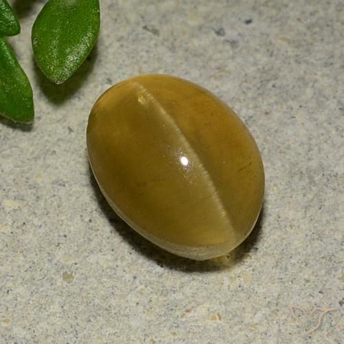 Apatita Ojo de Gato Marrón amarillento natural de 3.14 ct, Ovalada, Translúcido