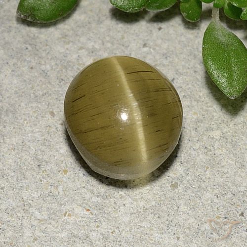 2.70ct Natural Amarillo medio Apatita Ojo de Gato, Ovalada, Translúcido