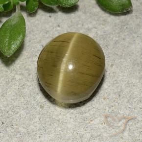 Apatita Ojo de Gato Amarillo medio natural de 2.70 ct, Ovalada, Translúcido