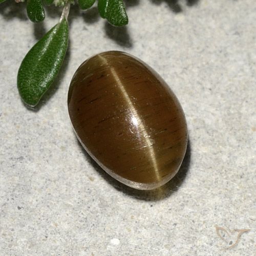Apatita Ojo de Gato Marrón cálido natural de 2.64 ct, Corte Óvalo, Translúcido
