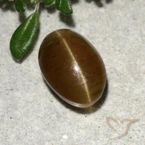 Apatita Ojo de Gato Marrón cálido natural de 2.64 ct, Corte Óvalo, Translúcido