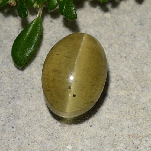 2.88ct Natural Amarillo amarronado Apatita Ojo de Gato, Ovalada, Translúcido