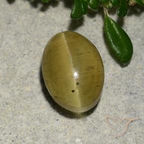 Apatita Ojo de Gato Amarillo amarronado natural de 2.88 ct, Ovalada, Translúcido