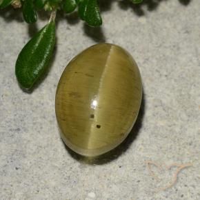 Apatita Ojo de Gato Amarillo amarronado natural de 2.88 ct, Ovalada, Translúcido