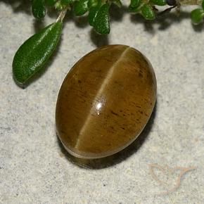 Apatita Ojo de Gato Marrón cálido natural de 3.10 ct, Ovalada, Translúcido