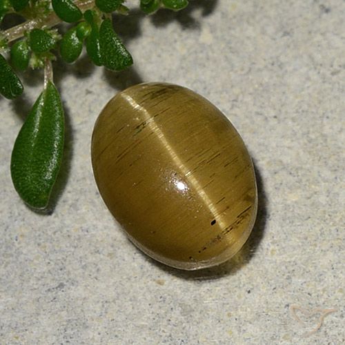 2.46ct Natural Amarillo amarronado Apatita Ojo de Gato, Ovalada, Translúcido