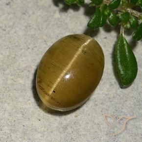 Apatita Ojo de Gato Amarillo amarronado natural de 2.46 ct, Ovalada, Translúcido