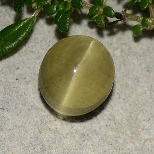 3.09ct Natural Amarillo terroso Apatita Ojo de Gato, Ovalada, Translúcido
