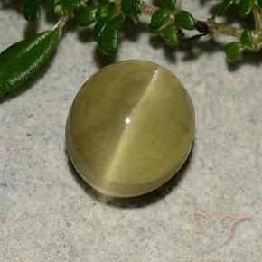 Apatita Ojo de Gato Amarillo terroso natural de 3.09 ct, Ovalada, Translúcido