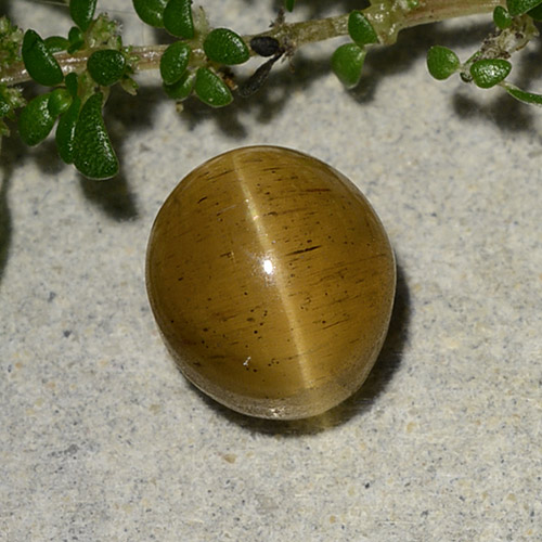 Cat's eye apatite dorado natural de 2,60 ct, corte óvalo, translúcido