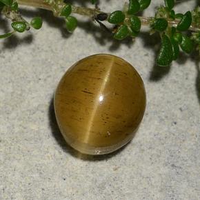 Cat's eye apatite dorado natural de 2,60 ct, corte óvalo, translúcido