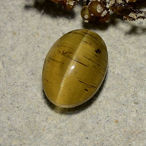 2.63ct Natural Amarillo terroso Apatita Ojo de Gato, Ovalada, Translúcido