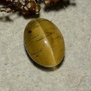 Apatita Ojo de Gato Amarillo terroso natural de 2.63 ct, Ovalada, Translúcido