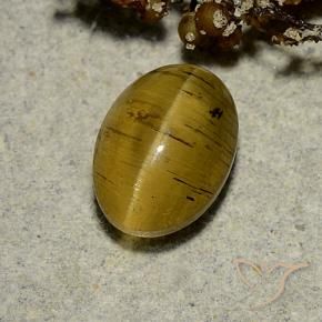 Apatita Ojo de Gato Amarillo terroso natural de 2.63 ct, Ovalada, Translúcido
