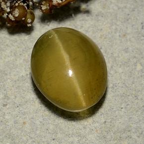 Apatita Ojo de Gato Verde dorado natural de 3.72 ct, Corte Óvalo, Translúcido