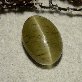 Cat's eye apatite verde natural de 3,32 ct, corte óvalo, translúcido