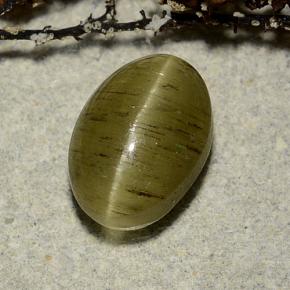 Cat's eye apatite verde natural de 3,32 ct, corte óvalo, translúcido