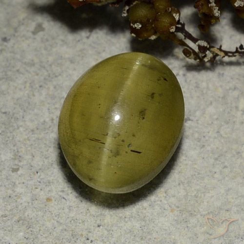 3.68ct Natural Amarillo neutral Apatita Ojo de Gato, Ovalada, Translúcido