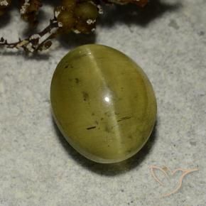 Apatita Ojo de Gato Amarillo neutral natural de 3.68 ct, Ovalada, Translúcido