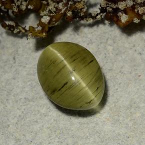 Apatita Ojo de Gato Verde terroso natural de 2.65 ct, Corte Óvalo, Translúcido