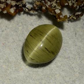 Apatita Ojo de Gato Verde terroso natural de 2.65 ct, Corte Óvalo, Translúcido