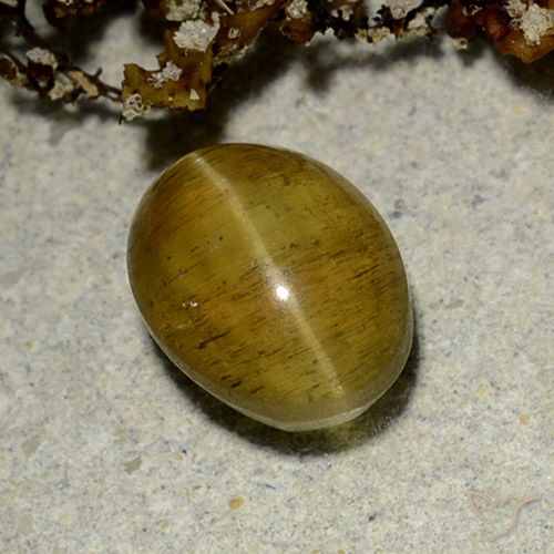 2.50ct Natural Marrón amarillento Apatita Ojo de Gato, Ovalada, Translúcido