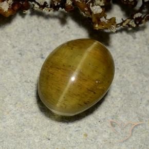 Apatita Ojo de Gato Marrón amarillento natural de 2.50 ct, Ovalada, Translúcido
