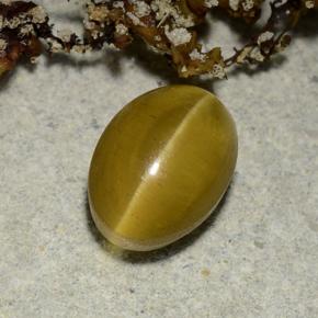 Apatita Ojo de Gato Dorado natural de 2.40 ct, Corte Óvalo, Translúcido