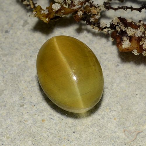 Cat's eye apatite amarillo natural de 2,68 ct, corte óvalo, translúcido