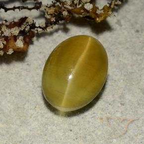 Cat's eye apatite amarillo natural de 2,68 ct, corte óvalo, translúcido